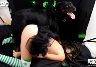 Hậu trường sex thú say mê trong tiếng nhạc cuồng dã